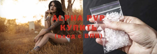 сатива Аркадак