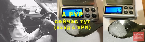 сатива Аркадак