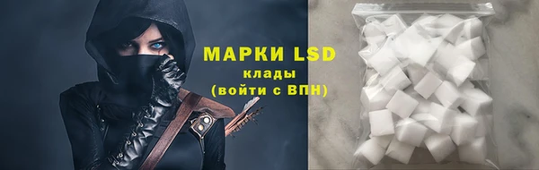 сатива Аркадак