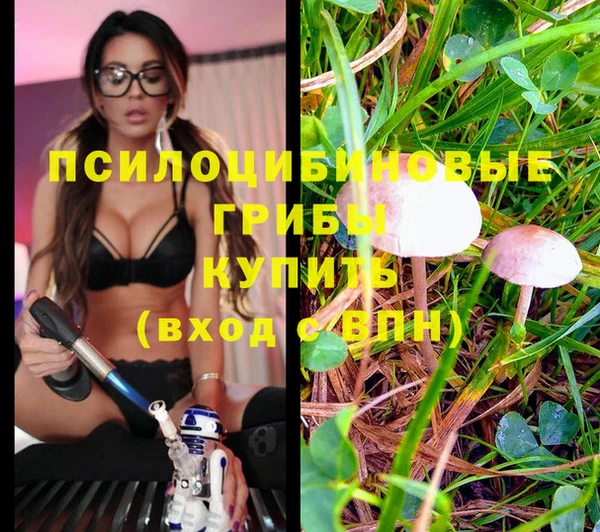 гашик Армянск