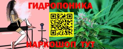 дмт Севастополь
