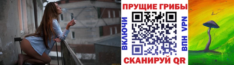 МЕГА ONION  наркошоп  Балтийск  Псилоцибиновые грибы мухоморы 