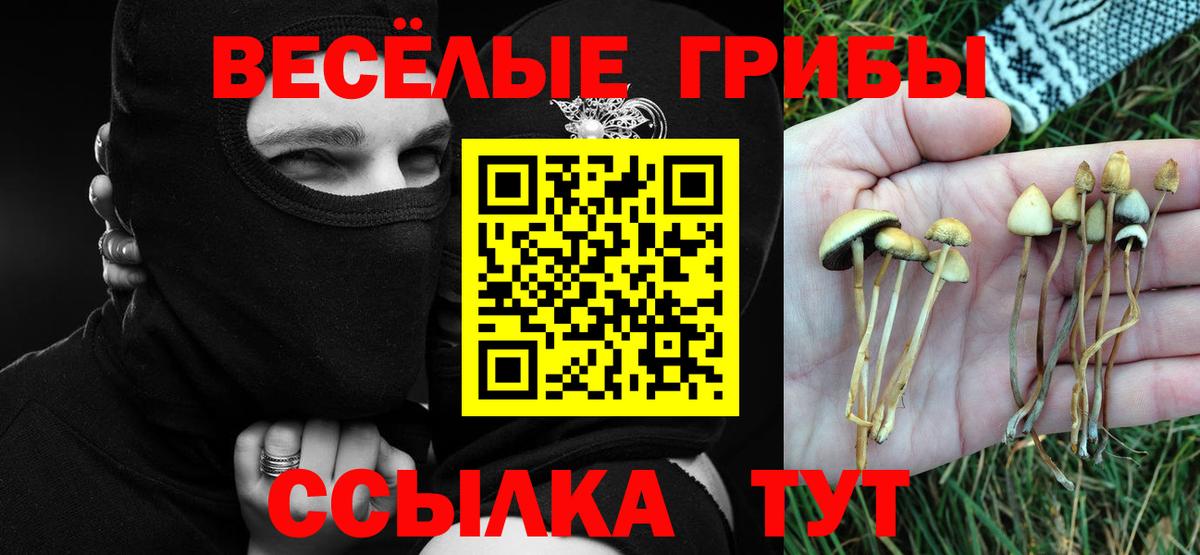 Галлюциногенные грибы ЛСД  Галлюциногенные грибы мухоморы  Вход с VPN  Балтийск 